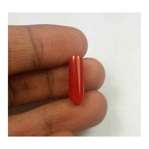 5.72 Carats Red Italian Coral 18.27 x 6.17 x 5.69 mm
