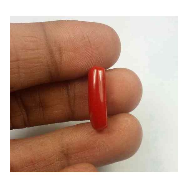 5.72 Carats Red Italian Coral 18.27 x 6.17 x 5.69 mm