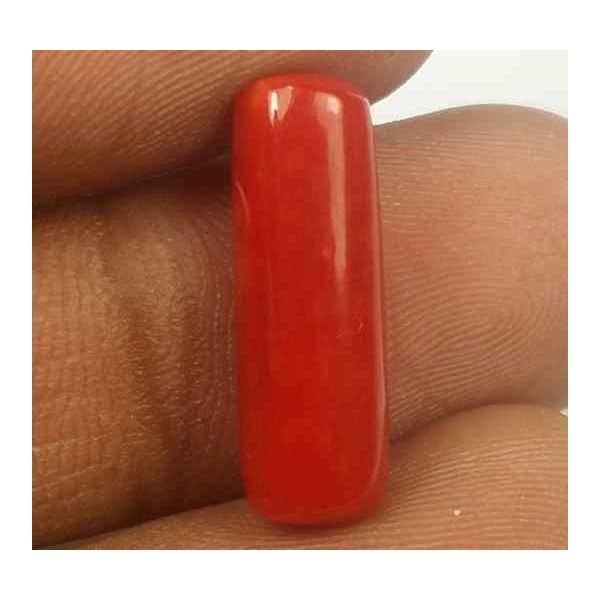 5.50 Carats Red Italian Coral 18.28 x 5.69 x 5.65 mm