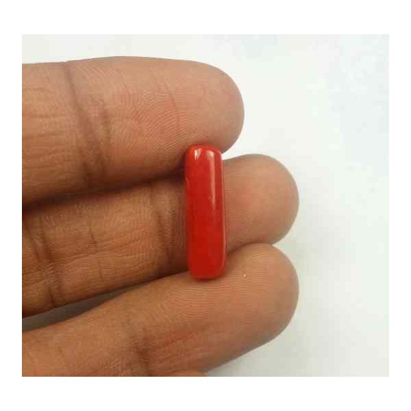 5.50 Carats Red Italian Coral 18.28 x 5.69 x 5.65 mm