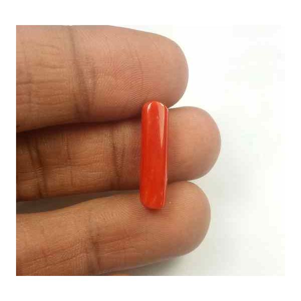 5.57 Carats Red Italian Coral 19.24 x 5.45 x 5.05 mm
