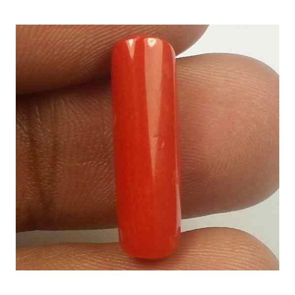 5.60 Carats Red Italian Coral 18.68 x 5.67 x 5.59 mm