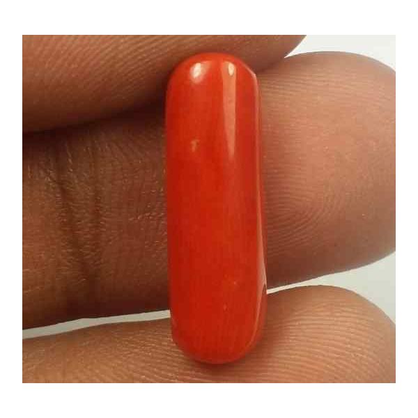 5.98 Carats Red Italian Coral 18.75 x 6.00 x 5.77 mm