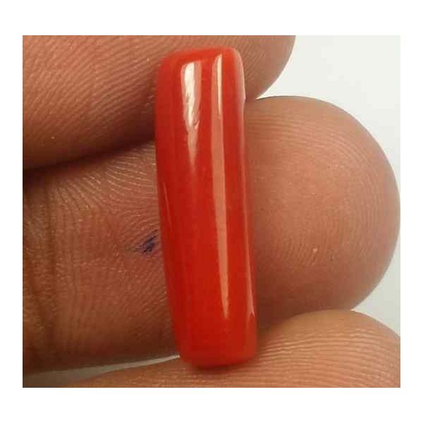 5.80 Carats Red Italian Coral 18.48 x 5.80 x 5.66 mm
