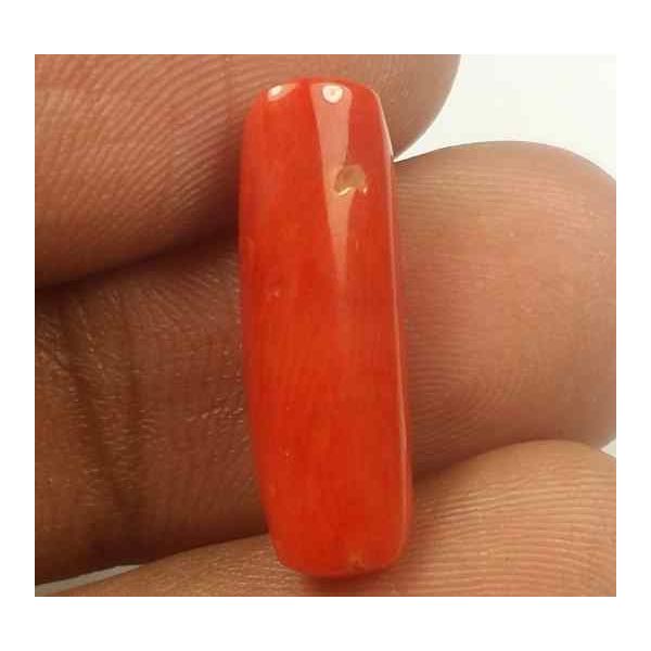 5.61 Carats Red Italian Coral 19.16 x 6.03 x 5.56 mm