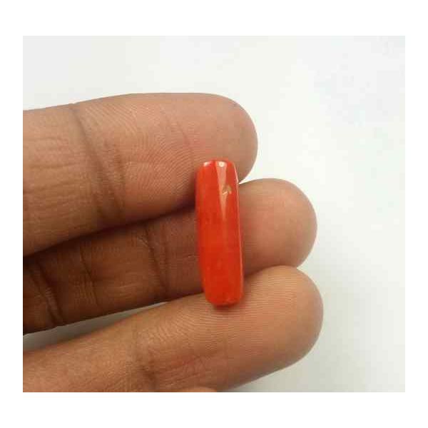 5.61 Carats Red Italian Coral 19.16 x 6.03 x 5.56 mm