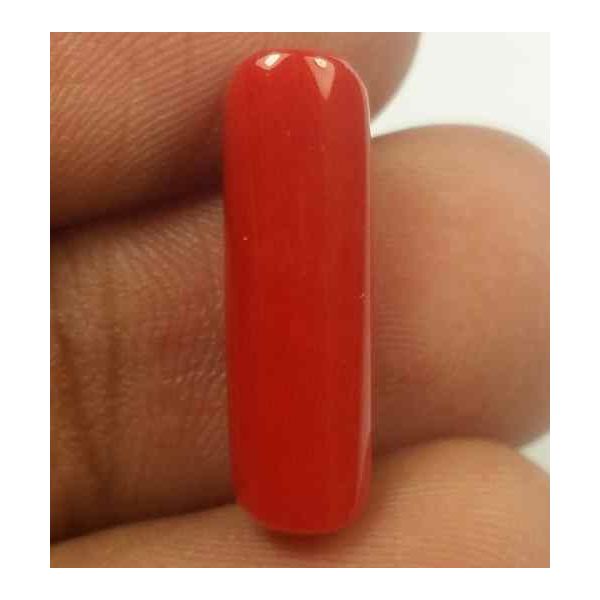 6.15 Carats Red Italian Coral 18.39 x 6.00 x 5.70 mm