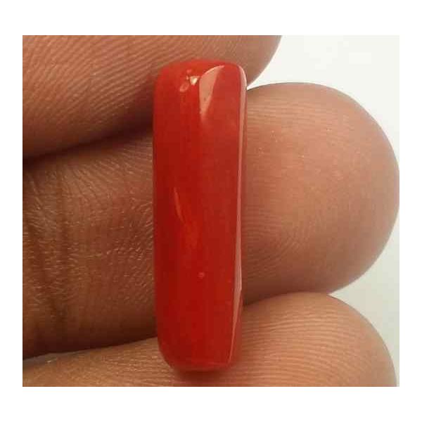 5.55 Carats Red Italian Coral 18.80 x 5.59 x 5.54 mm