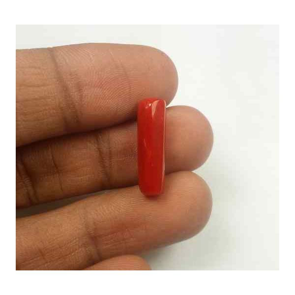 5.55 Carats Red Italian Coral 18.80 x 5.59 x 5.54 mm