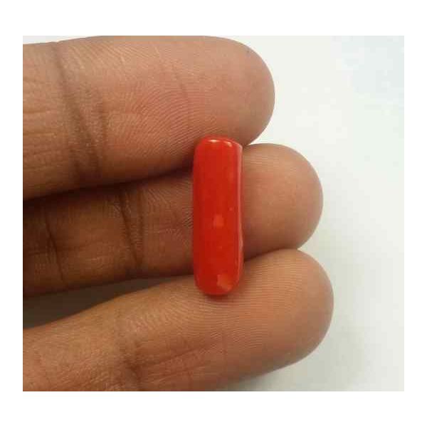 5.25 Carats Red Italian Coral 18.15 x 6.02 x 5.08 mm