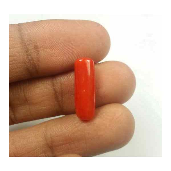 5.25 Carats Red Italian Coral 18.15 x 6.02 x 5.08 mm