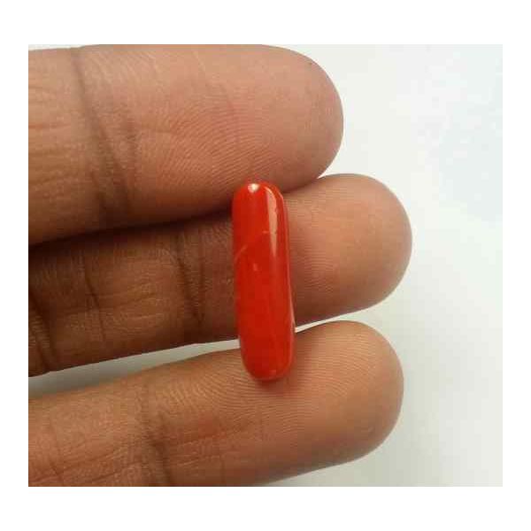 5.25 Carats Red Italian Coral 18.61 x 5.70 x 5.22 mm