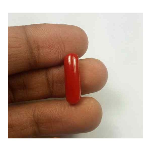 5.48 Carats Red Italian Coral 19.02 x 6.11 x 5.09 mm