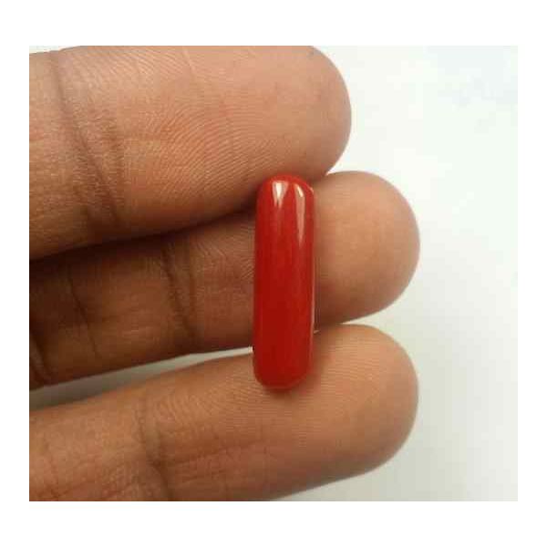 6.12 Carats Red Italian Coral 18.35 x 5.90 x 5.80 mm
