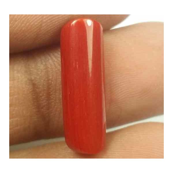 5.50 Carats Red Italian Coral 18.94 x 5.52 x 5.28 mm