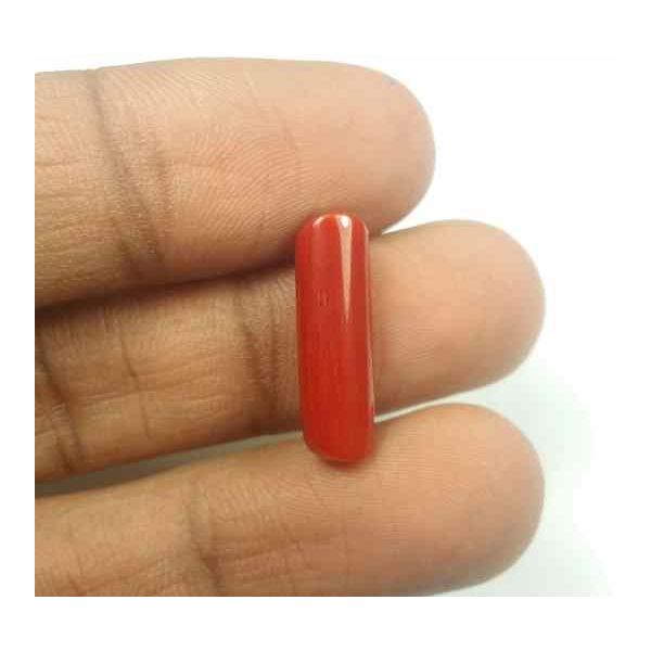 5.50 Carats Red Italian Coral 18.94 x 5.52 x 5.28 mm