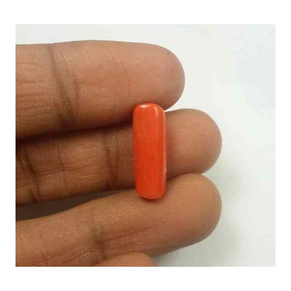 5.37 Carats Red Italian Coral 18.39 x 6.25 x 4.84 mm