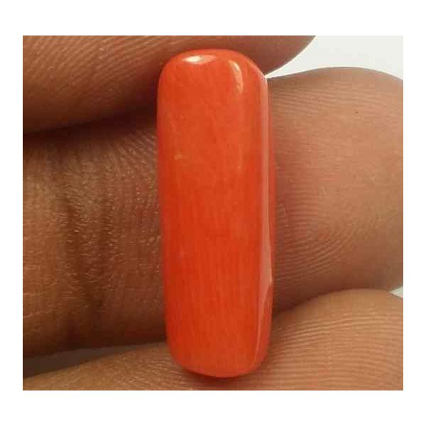 6.55 Carats Red Italian Coral 19.35 x 6.44 x 5.46 mm