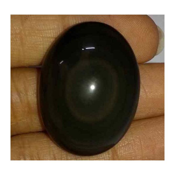 50.82 Carats Obsidian Eye 31.06 X 23.35 X 11.35 mm