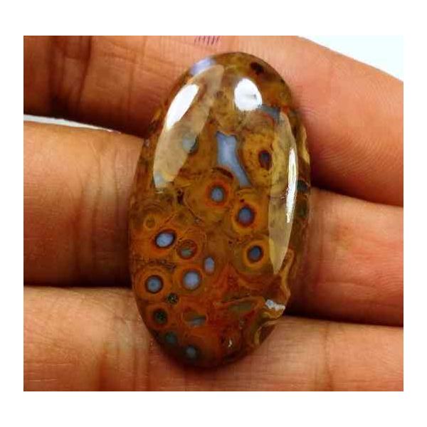 18.97 Carats Plum Root Agate 31.51 X 16.55 X 4.09 mm