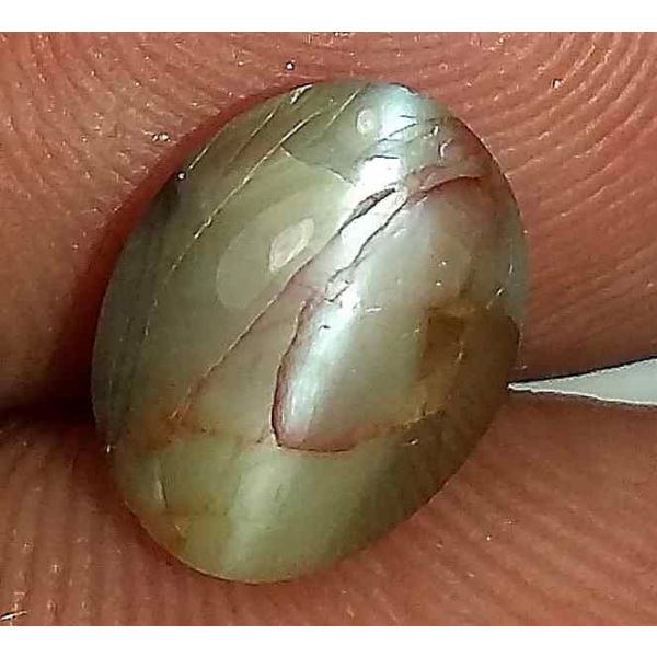 2.91 Carats Chrysoberyl Cat's Eye 8.85 x 7.00 x 4.77 mm