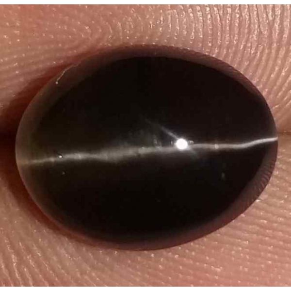 4.96 Carats Sillimanite Cat's Eye 10.85 x 8.53 x 6.02 mm
