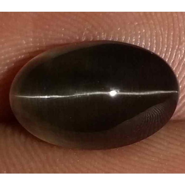 4.61 Carats Sillimanite Cat's Eye 10.95 x 6.96 x 6.78 mm
