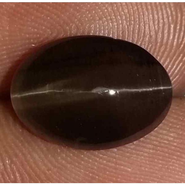 4.3 Carats Sillimanite Cat's Eye 11.60 x 8.15 x 5.30 mm