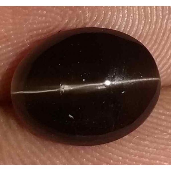 3 Carats Sillimanite Cat's Eye 9.40 x 7.30 x 5.18 mm