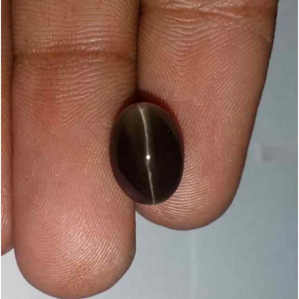 5.53 Carats Sillimanite Cat's Eye 10.93 x 8.04 x 7.31 mm