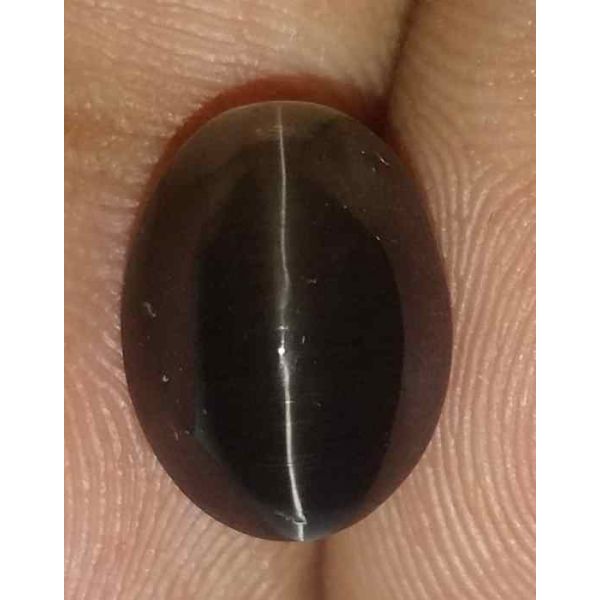 5.24 Carats Sillimanite Cat's Eye 11.18 x 8.35 x 6.85 mm