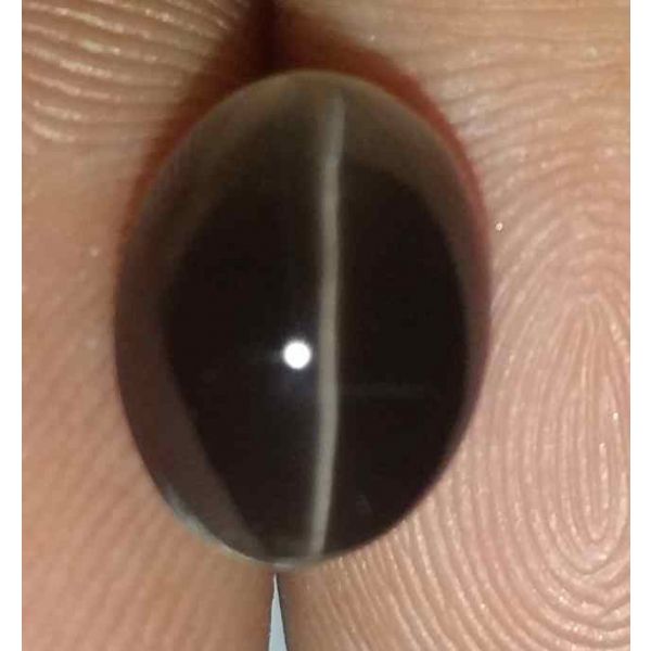 4 Carats Sillimanite Cat's Eye 9.90 x 7.40 x 6.37 mm