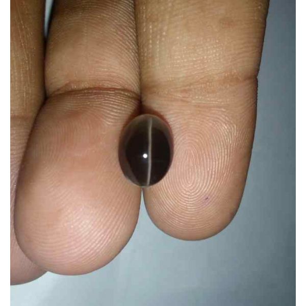 4 Carats Sillimanite Cat's Eye 9.90 x 7.40 x 6.37 mm