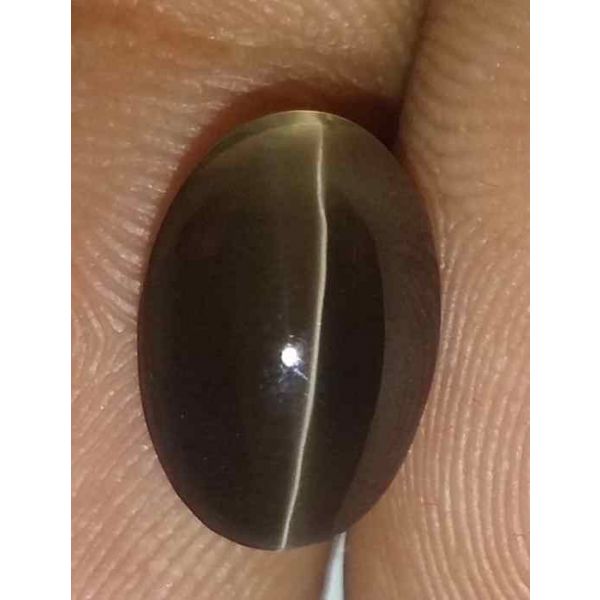 3.52 Carats Sillimanite Cat's Eye 10.46 x 7.25 x 5.33 mm