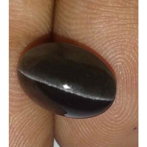 4.3 Carats Sillimanite Cat's Eye 10.60 x 7.55 x 6.37 mm