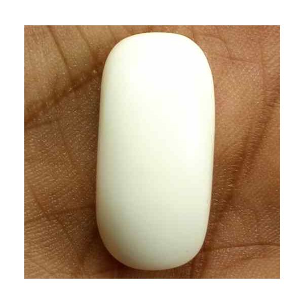 18.66 Carats Italian White Coral 22.29 x 10.92 x 7.77 mm