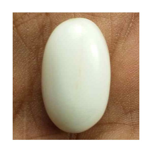 16.54 Carats Italian White Coral 18.50 x 11.08 x 8.47 mm
