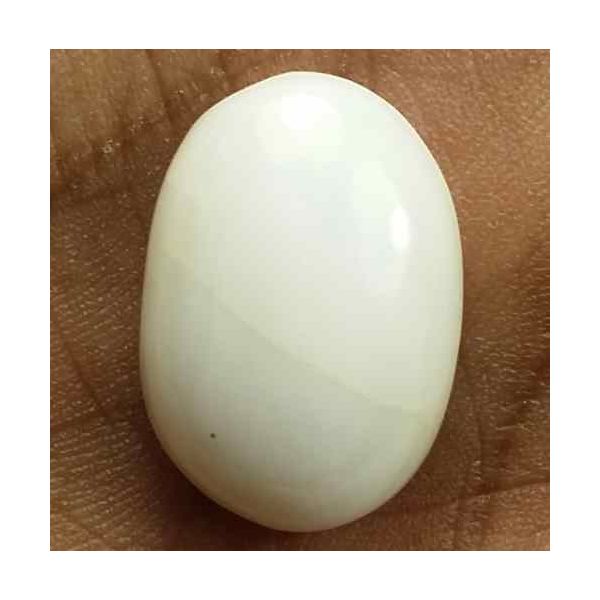 13.44 Carats Italian White Coral 18.61 x 13.03 x 6.58 mm