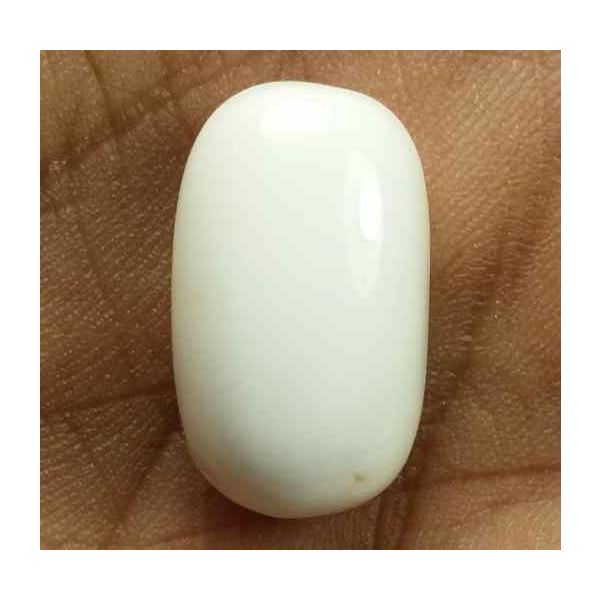 13.87 Carats Italian White Coral 17.93 x 10.33 x 8.09 mm