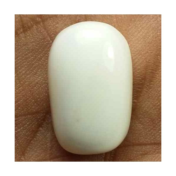16.34 Carats Italian White Coral 17.36 x 11.33 x 8.43 mm