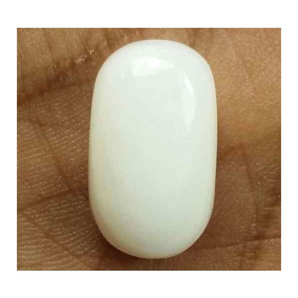 13.35 Carats Italian White Coral 17.49 x 10.35 x 7.38 mm