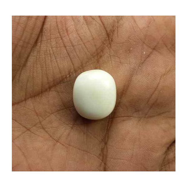 17.52 Carats Italian White Coral 16.17 x 14.21 x 7.90 mm