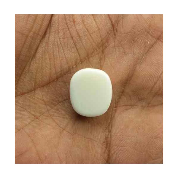 17.52 Carats Italian White Coral 16.17 x 14.21 x 7.90 mm
