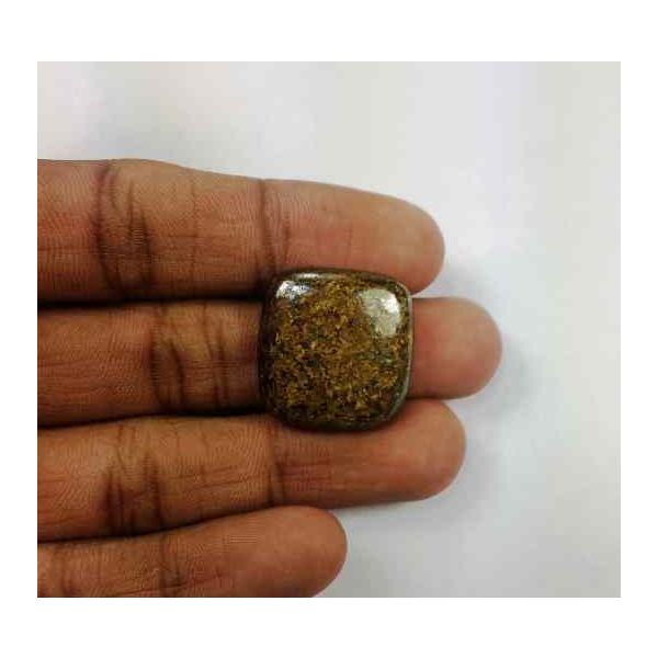 31.14 Carats Bronzite 21.90 x 21.19 x 5.44 mm
