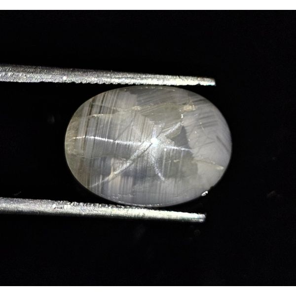 6.65 Carats Natural Regent Gray Star Sapphire 11.55 x 9.80 x 4.80 mm