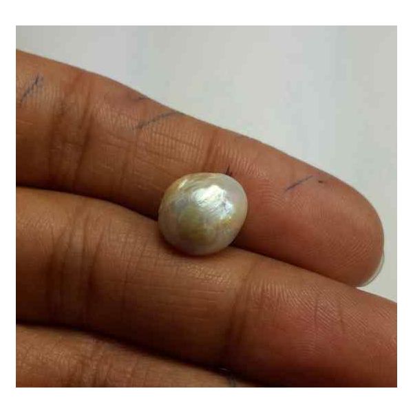 5.53 Carat Venezuela Pearl 10.78 x 9.89.4.40 mm