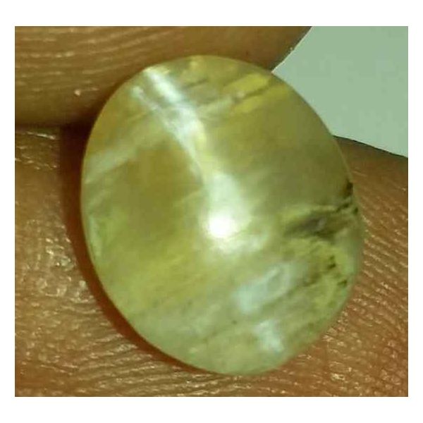 2.25 Carats Tourmaline Cat's Eye 10.12 x 8.87 x 4.42 mm