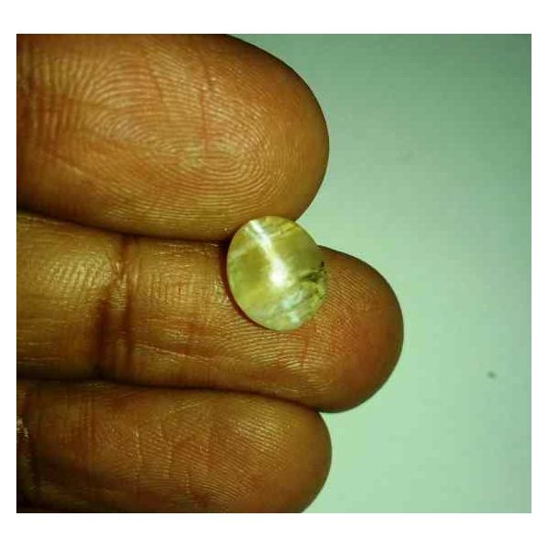 2.25 Carats Tourmaline Cat's Eye 10.12 x 8.87 x 4.42 mm