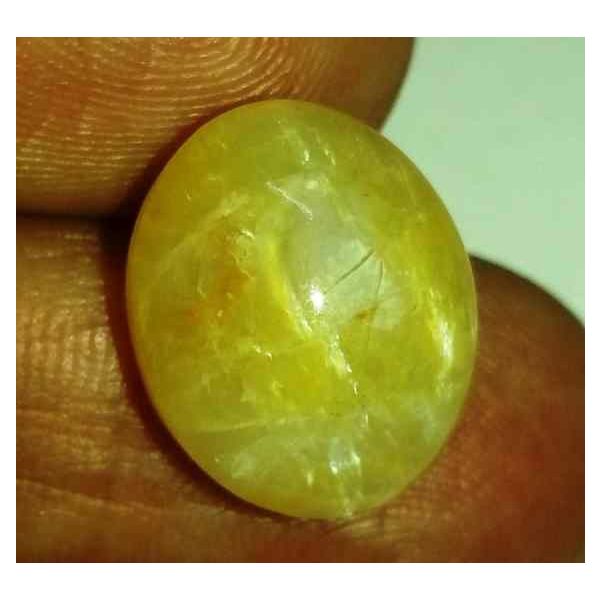 9.92 Carats Tourmaline Cat's Eye 15.10 x 12.52 x 8.71 mm