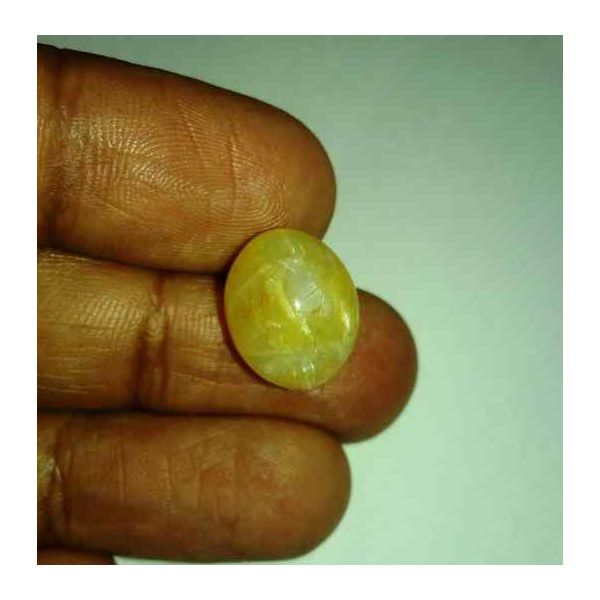 9.92 Carats Tourmaline Cat's Eye 15.10 x 12.52 x 8.71 mm